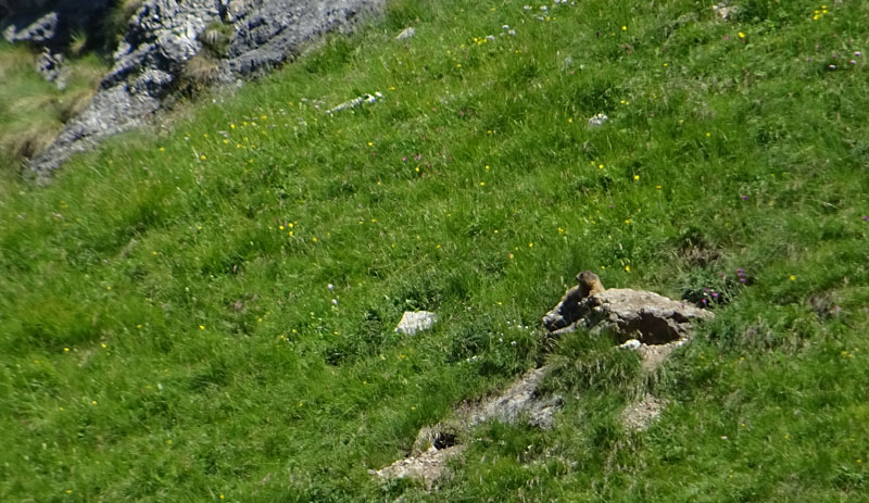 XII Apostoli........Gruppo di Brenta